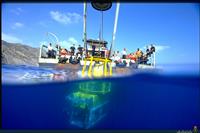 Buque de salvamento y rescate Neptuno y su ROV Scorpio