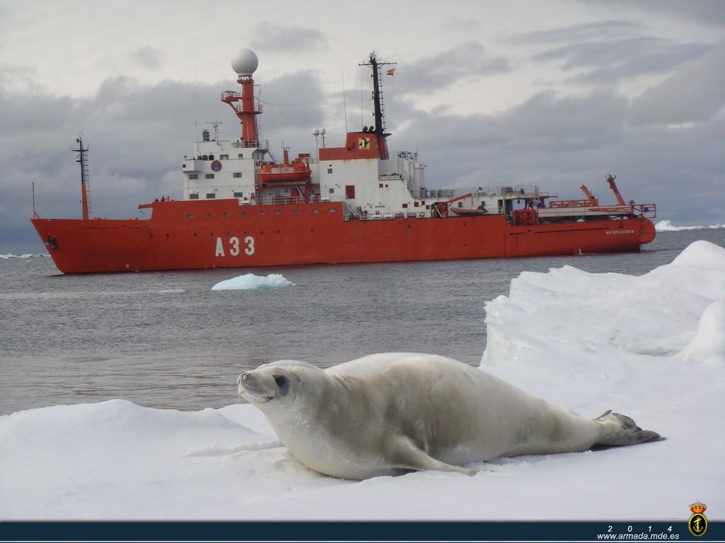 The ship is scheduled to arrive at the Antarctic by November 30th