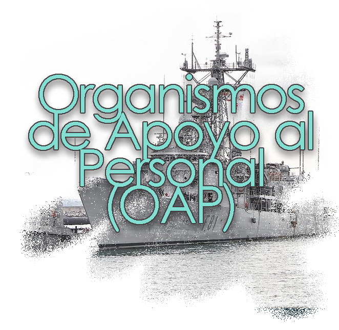 Organismos de Apoyo al Personal (OAP)