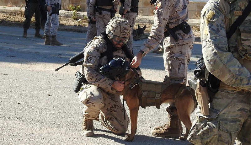 Infante de Marina (guía canino) preparando a su perro para la realización de un ejercicio