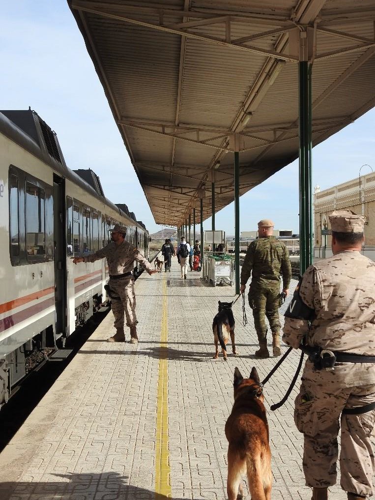 Ejercicios en estación ADIF y tren RENFE en Cartagena